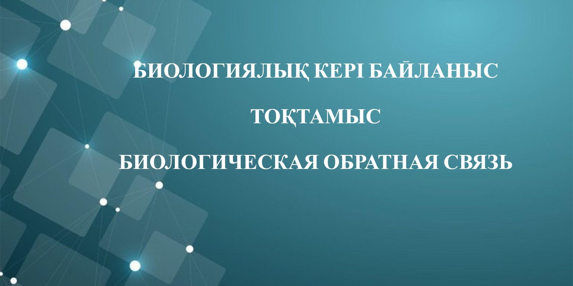 Без названия