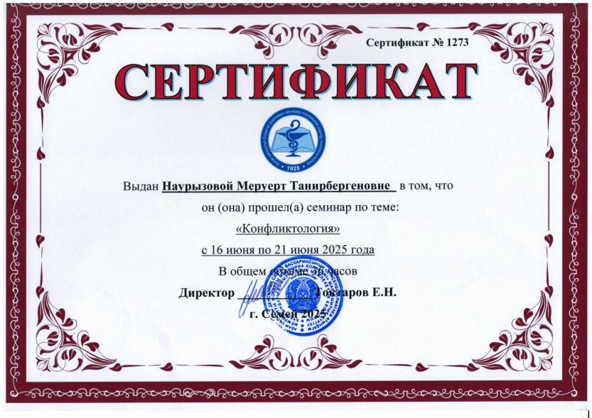 2025 Конфликтология Наурызова